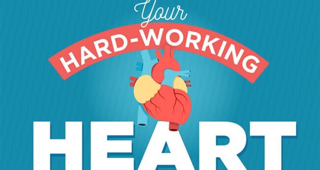 HardWorkingHeartFeature_Web