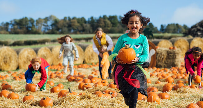Kids in a Pumpkin Patch